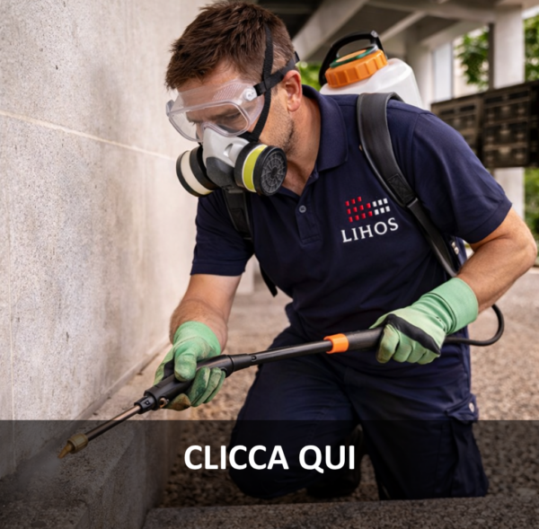 disinfestazioni_info